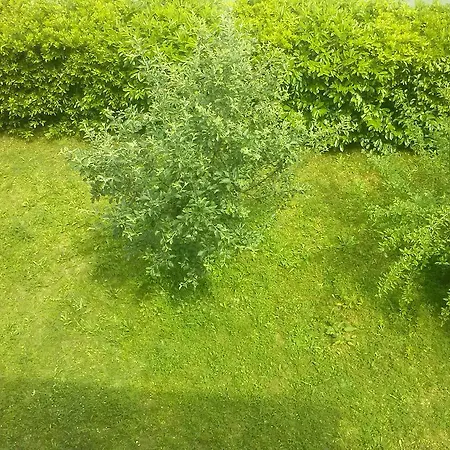 Il Ciliegio Appartement
