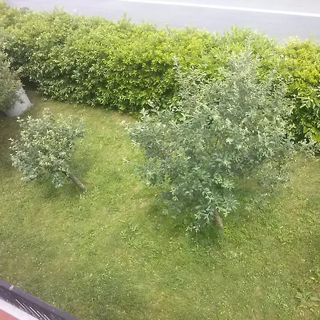 Il Ciliegio Appartement